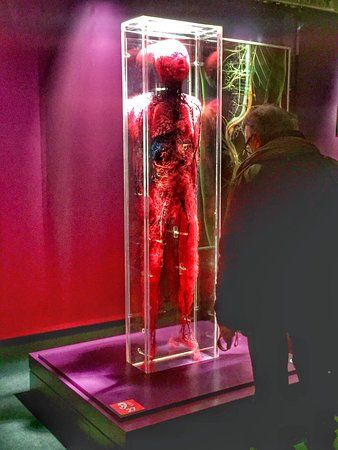 Mostra Real Bodies
